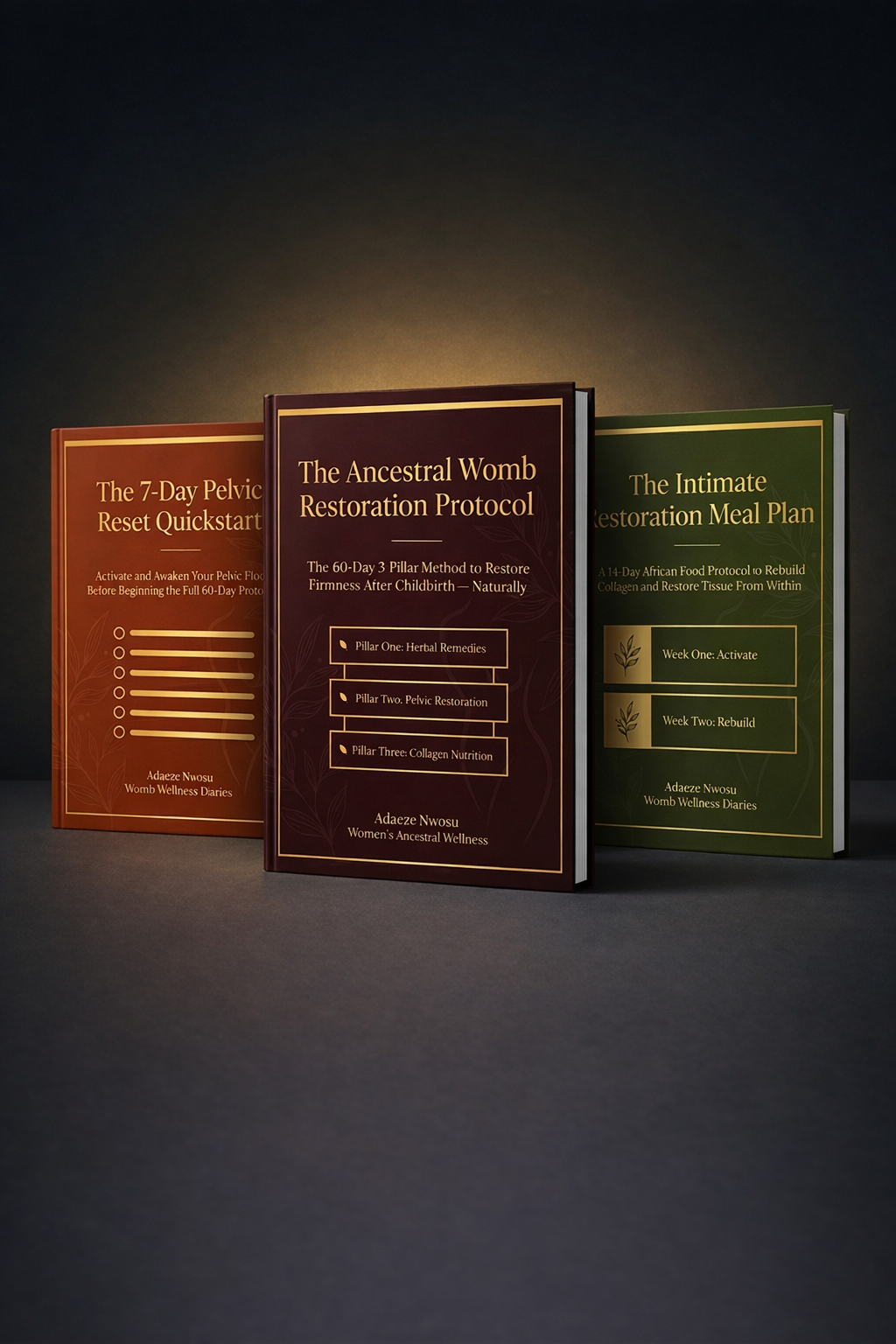 Complete Bundle — The Ancestral Womb Restoration Protocol + Bonuses